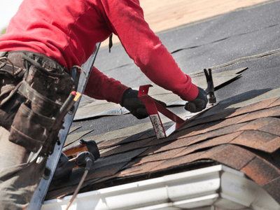 About Leaking Skylight Repair Pros Loman, MN